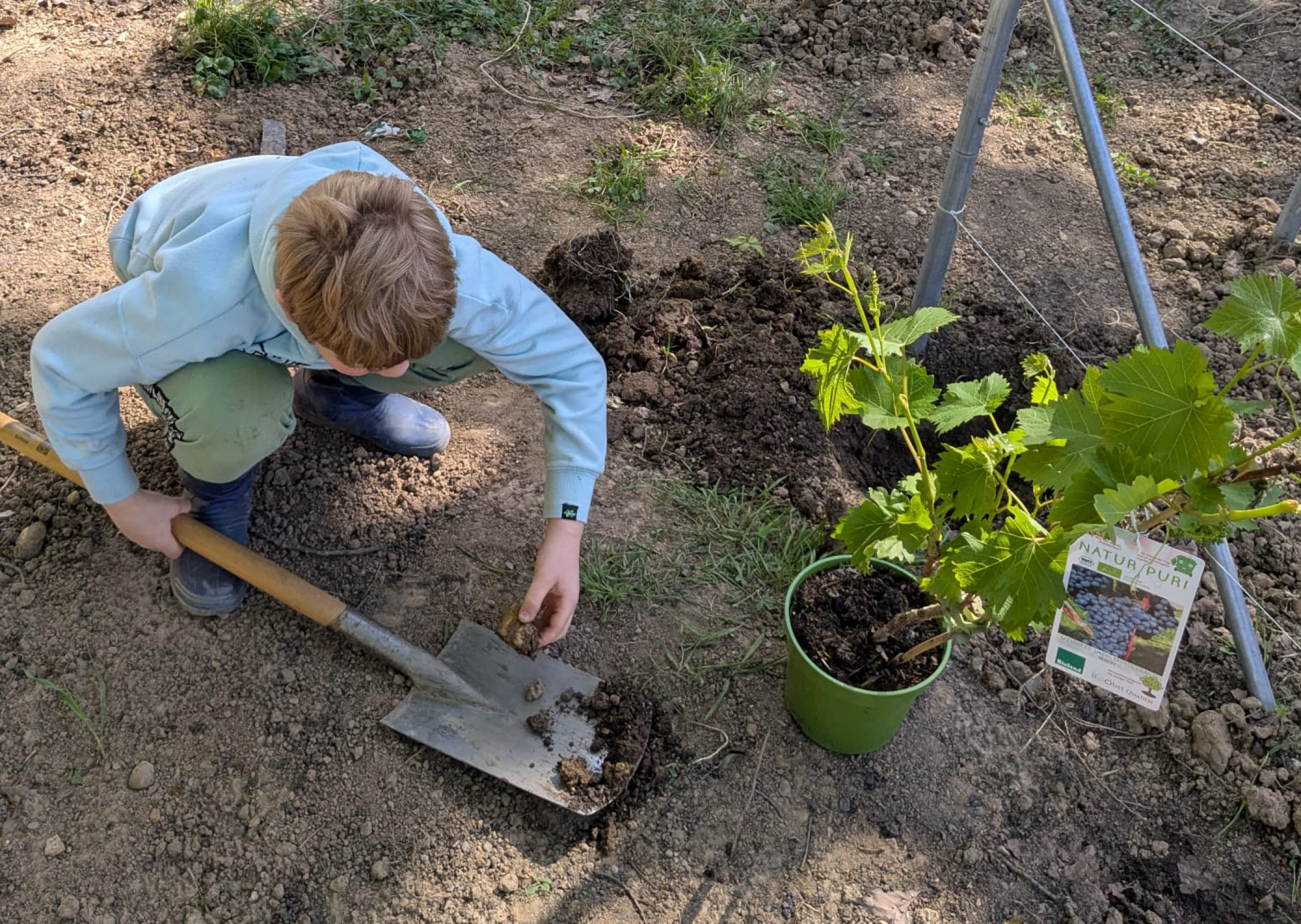 Es gr&uuml;nt so gr&uuml;n... der Garten von Gruppe Noah