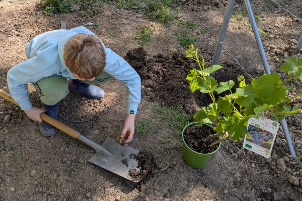 Es grünt so grün... der Garten von Gruppe Noah