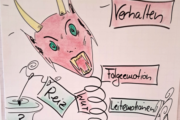 Implementierung von ProDeMa – Professionelles Deeskalationsmanagement